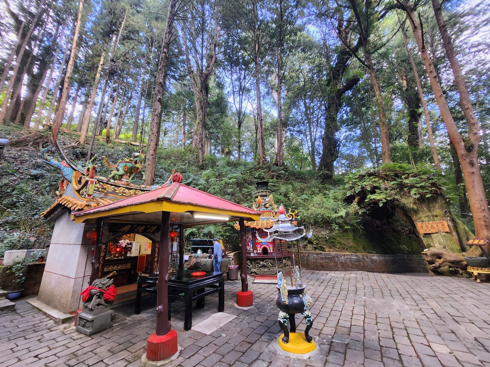 林間的福德廟與金爐廣場,右側巨木殘幹上掛著寫有福德萬古樹的橘色木牌