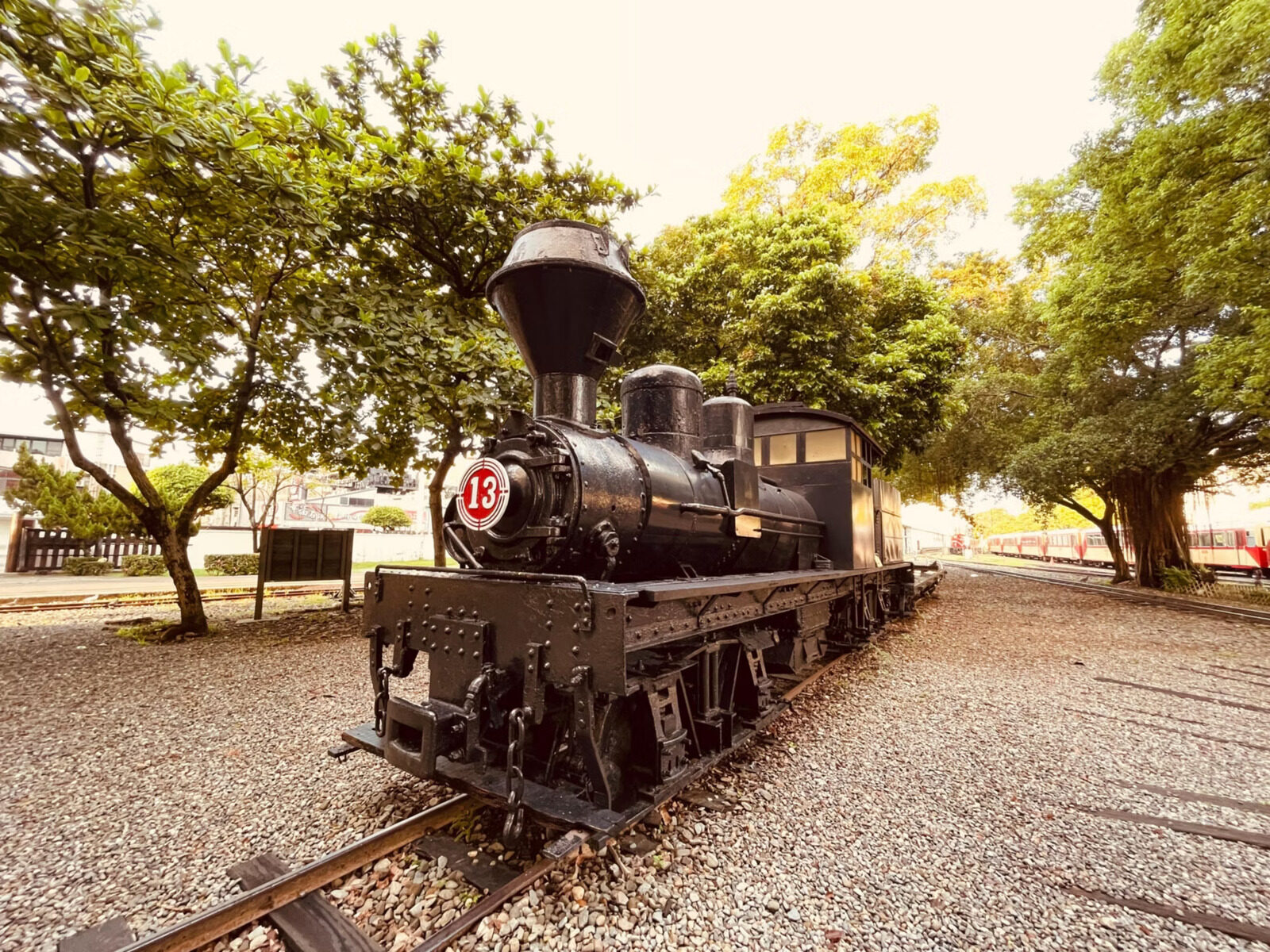 A black steam locomotive on gravel at the Alishan Forest Railway Garage Park, with large trees on both sides