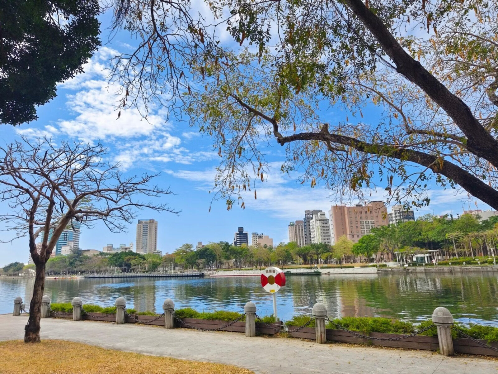 蓝天下的爱河河畔步道，岸边有矮栏与红白救生圈，对岸是高楼与绿树