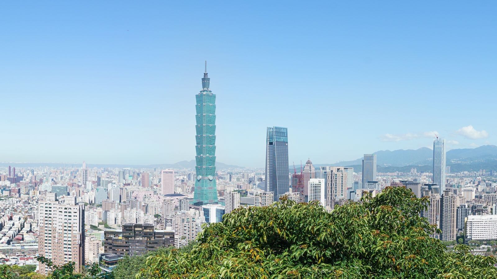 台北 101 與信義區天際線